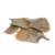 RABINHO DE PEIXE - BARBATANA DE TILÁPIA - PET BEM - 100g