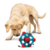 KONG REWARDS TINKER M/G - Aubox - seu e-commerce pet