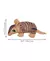 PELÚCIA KONG MAXX AMADILLO - P - Aubox - seu e-commerce pet