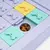 PUZZLER ZIPPYPAWS - PANEL SLIDERS - loja online