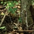 Corda de sobrevivência Parapocalypse Atwood 625lb (7,5m) preto - Crosster | Equipamentos originais e de alta qualidade!