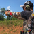 Mira Holográfica Bushnell Red Dot Ar Optics 1X First Strike 2.0 Reflex Sight - Crosster | Equipamentos originais e de alta qualidade!
