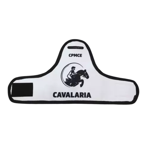 BRAÇAL CAVALARIA - COLÉGIO DA POLÍCIA MILITAR