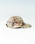 BONÉ TÁTICO INVICTUS TRIGGER 2.0 CAMUFLADO WARSKIN - comprar online