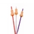 Sorbete Sexy Pene x 6u.