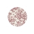 Mantel Plato de Sitio de Papel Toile de Jouy Rosas x 10u.