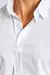 Camisa Elastano Lisa Sergio K - ENNE Boutique