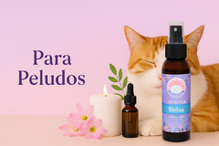 Banner de la categoría Splash Emocionales