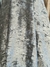 Velvet Fantasy GRIS CLARO (0062)