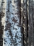 Velvet Fantasy GRIS MEDIO (0064)