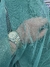 Tul con Brillo VERDE - Frozen - comprar online