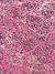 Lycra Super SPANDEX - FUCSIA JASPEADO - comprar online