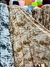 Lycra Europa - POLAR TIERRA en internet