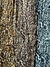 Lycra Europa - PRINT SAUVAGE - AMAKOM TEXTIL