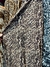 Lycra Europa - PRINT SAUVAGE en internet