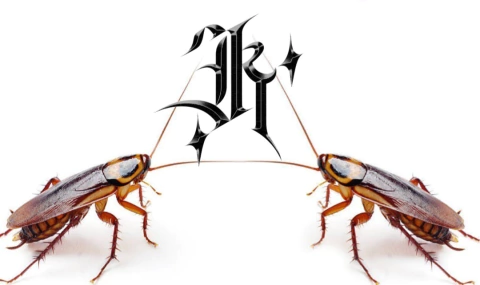 Kila Corp