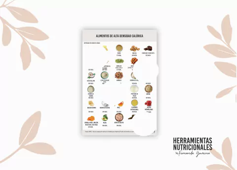 INFOGRAFÍA DIGITAL - ALIMENTOS DE ALTA DENSIDAD CALÓRICA