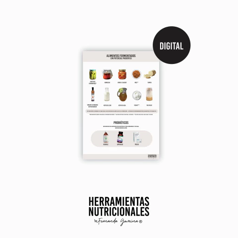 INFOGRAFÍA DIGITAL - ALIMENTOS FERMENTADOS Y PROBIÓTICOS - comprar online
