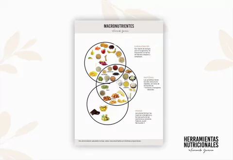 INFOGRAFÍA DIGITAL - MACRONUTRIENTES VEGGIE