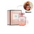 Decant Bombshell Seduction Eau de Parfum Victoria's Secret - comprar online