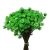 600 Sempre Viva Florzinha Verde Claro I Flores Desidratadas - comprar online