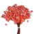 2.400 Sempre Viva Florzinha Salmão I Flores Desidratadas - comprar online