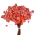 6.000 Sempre Viva Florzinha Salmão I Flores (Atacado) - comprar online