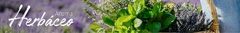 Banner da categoria Herbáceo
