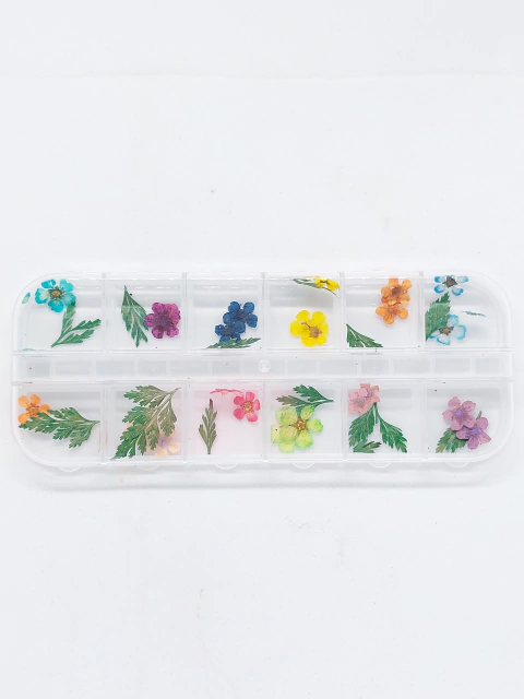 Flores Secas x12- City Girl