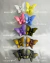 Prensa Broche Mariposa en internet