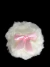 Cisne Para Polvo Cuerpo -Jessamy