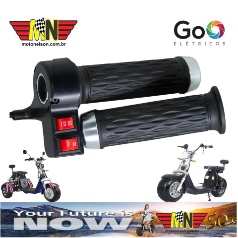 Acelerador e Manopla com Botão Ré para Triciclo e scooter Elétrica citycoco - comprar online