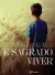 É sagrado viver (Padre Fábio de Melo)
