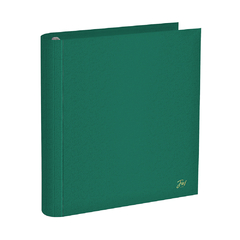 CARPETA FW 3 X 40 FORRADA VERDE