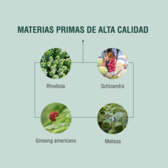 ES3 90 cápsulas | Adaptoheal® en internet