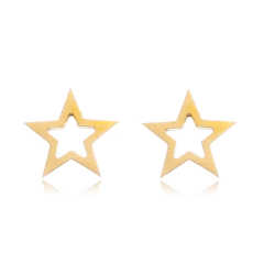 Brinco Estrela Vazada Aço304 Inoxidavél Média - loja online