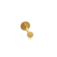 Labret Aço316l Folheado a Ouro