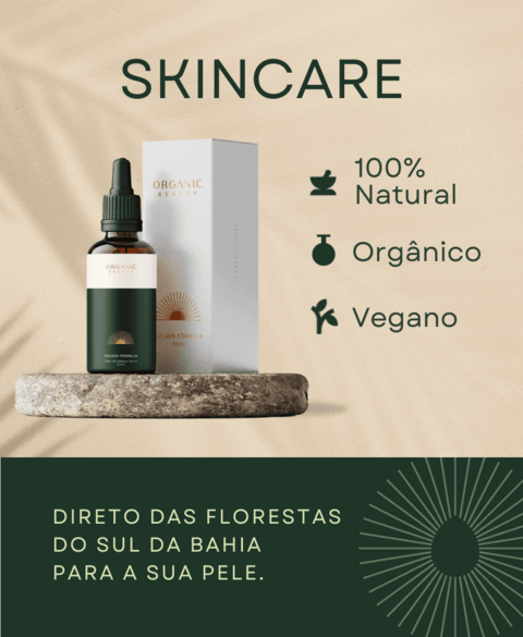 Carrossel 1