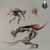 Dançarina do Vale do Boreal, Dancer of the Boreal Valley - Dark Souls - comprar online