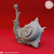 Caracol do Mangual - Flail Snail na internet