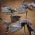 Imagem do Montaria de Wyvern - Cavaleiro de Serpes