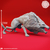 Worg - Monstruosidade Lobo, Montaria Goblin - comprar online