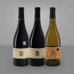 WINEPACK BODEGA PARALELO - comprar en línea