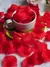 PÉTALAS DE ROSAS ARTIFICIAIS PERFUMADAS - 50 UNIDADES - loja online