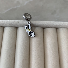charm cachorro - buy online