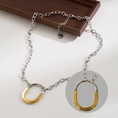 collar lock on internet