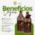 Kit Progressiva Orgânica Vegan Hair Com Biotina e Macadâmia - Sem Formol - 2x1000ml - comprar online
