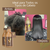 resultado progressiva organica em cabelo afro