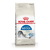 Royal Canin Gato Indoor