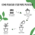 Envelope em papel plantável vertical (30 unidades) - loja online